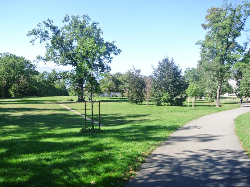 parc_sarasin.jpg