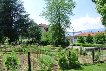 Potagers urbains delices