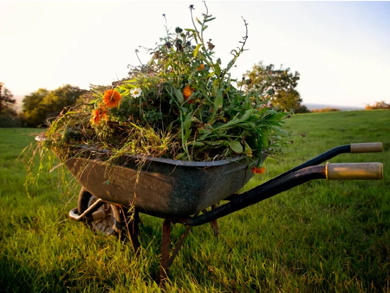 [node:field_media:entity:name