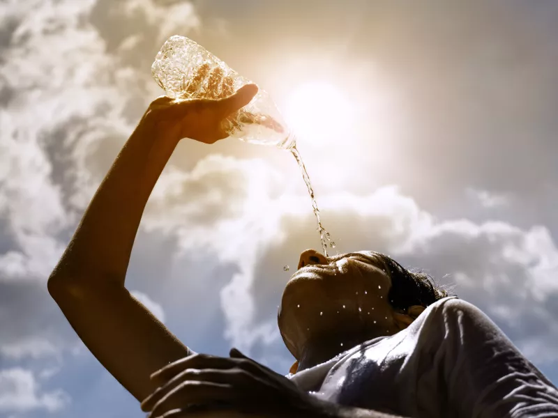 Canicule