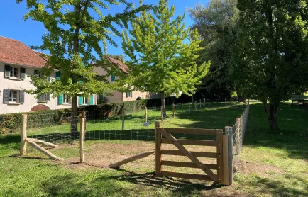 Parc chiens Délices