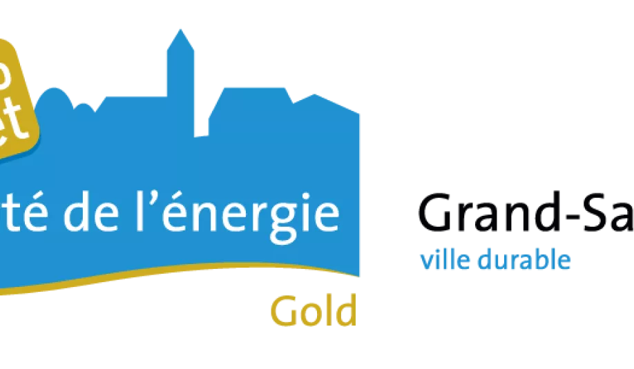 cite-de-l-energie-gold-zn-grand-saconnex_rogne_0.png