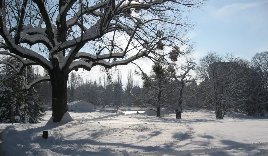 Bandeau - Déneigement