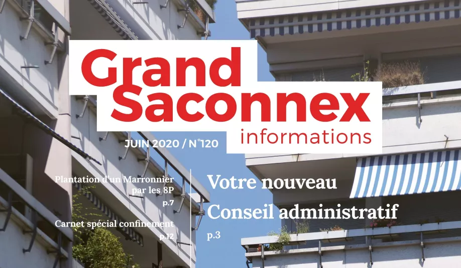 gsi-juin2020-couv-copie.jpg