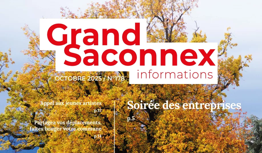 gsi-oct-2025_vf-copie-copie.jpg