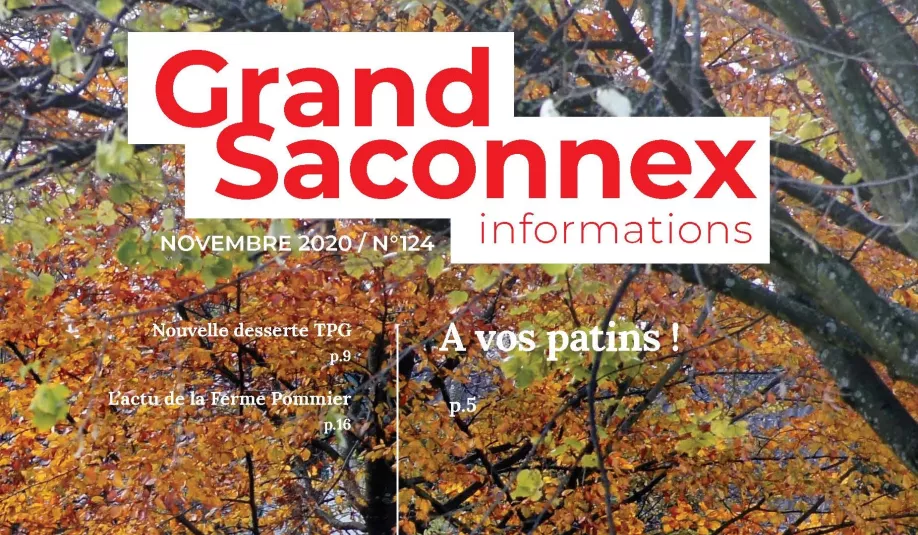 gsi_novembre-2020-web-copie.jpg