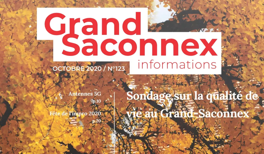 gsi_octobre-2020-vf_page_01-copie.jpg