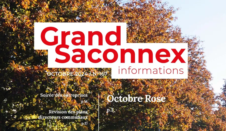 gsi_octobre_2024-copie.jpg