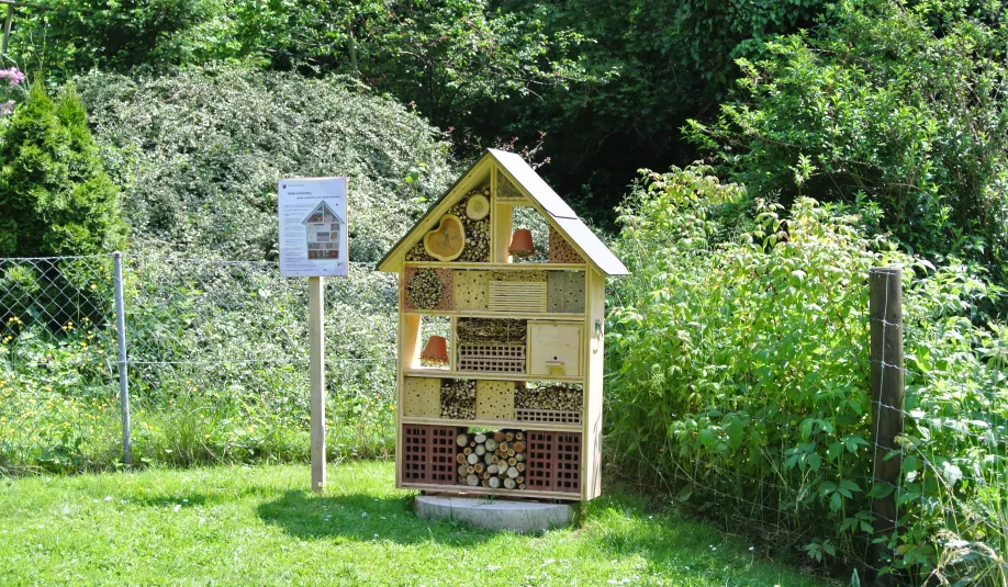 Hôtel insectes