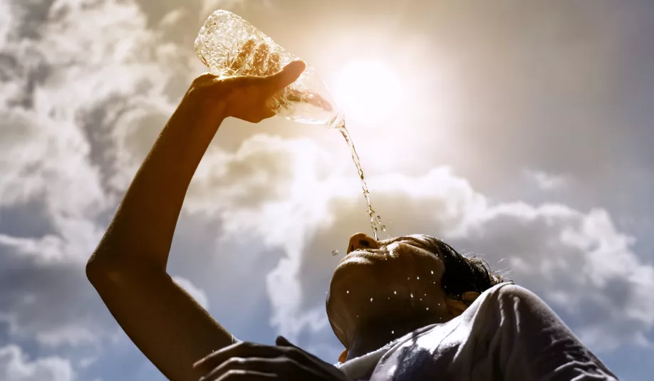 Canicule