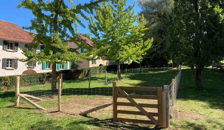 Parc chiens Délices