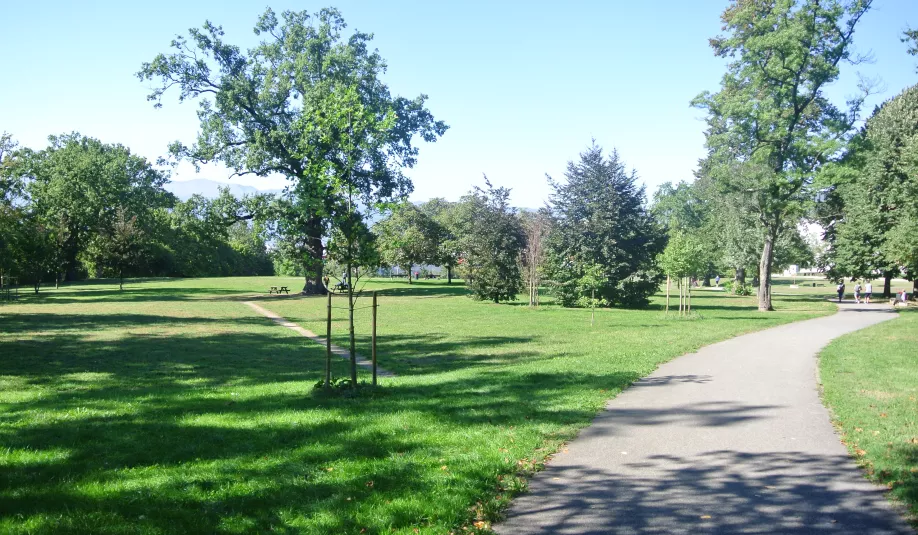 parc_sarasin.jpg