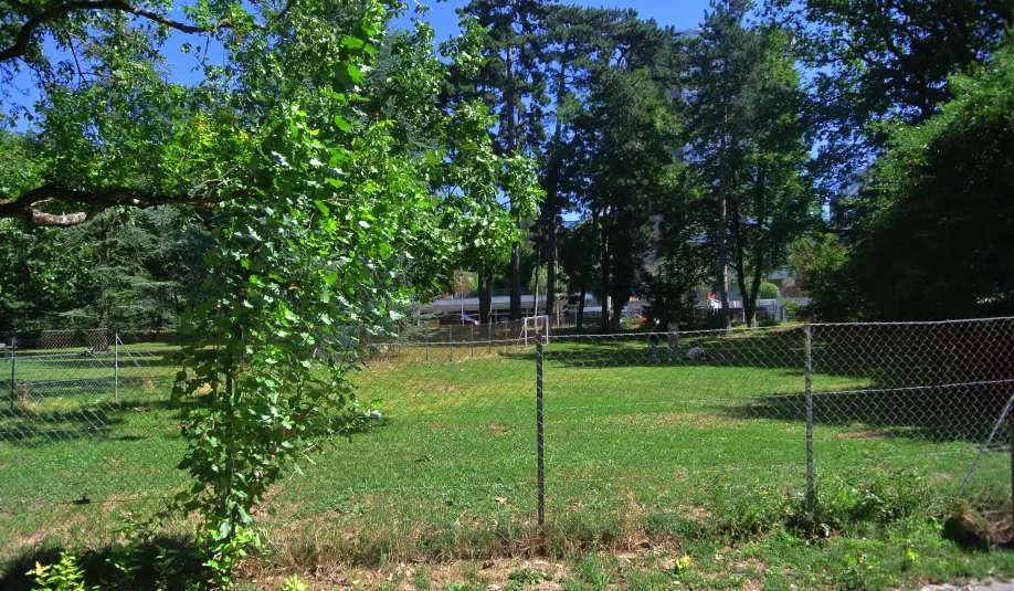 parcchiensarasin.jpg