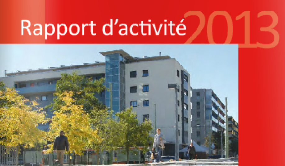 Rapport d&#039;activité 2013