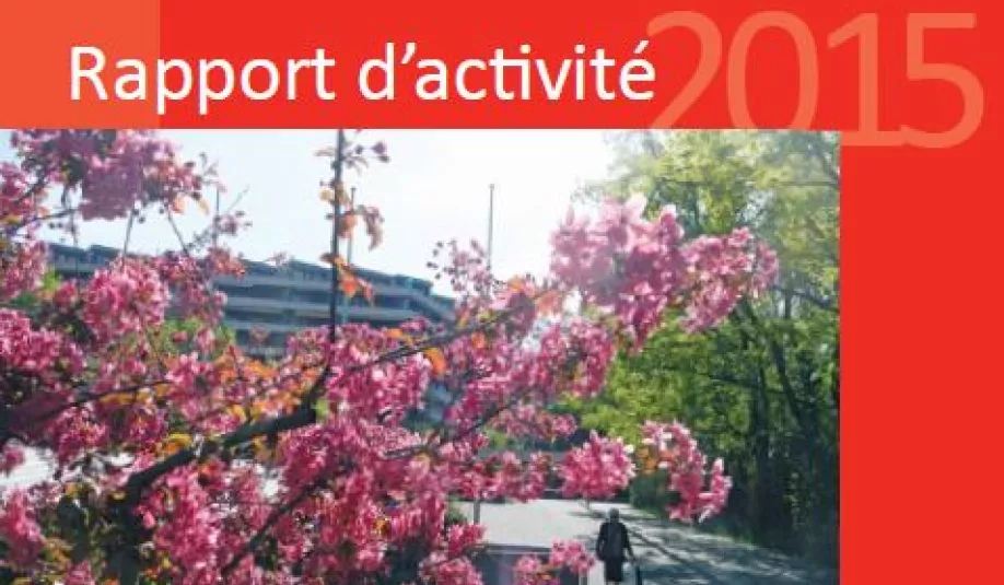 Rapport d&#039;activité 2015