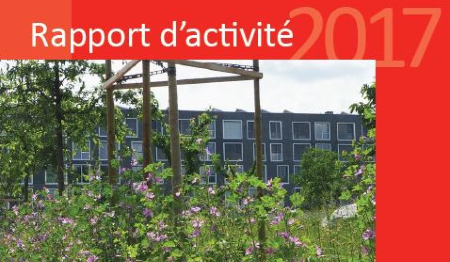 Rapport d&#039;activité 2017